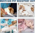 Een hond met verband, puppy's die zogen, een hond die wordt ingeënt en een hond met huidproblemen.