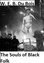 Standbeeld David met politie en relletjes op de achtergrond. Tekst: W.E.B. Du Bois. The Souls of Black Folk.