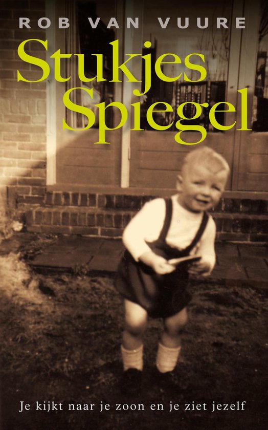 Stukjes spiegel - cover