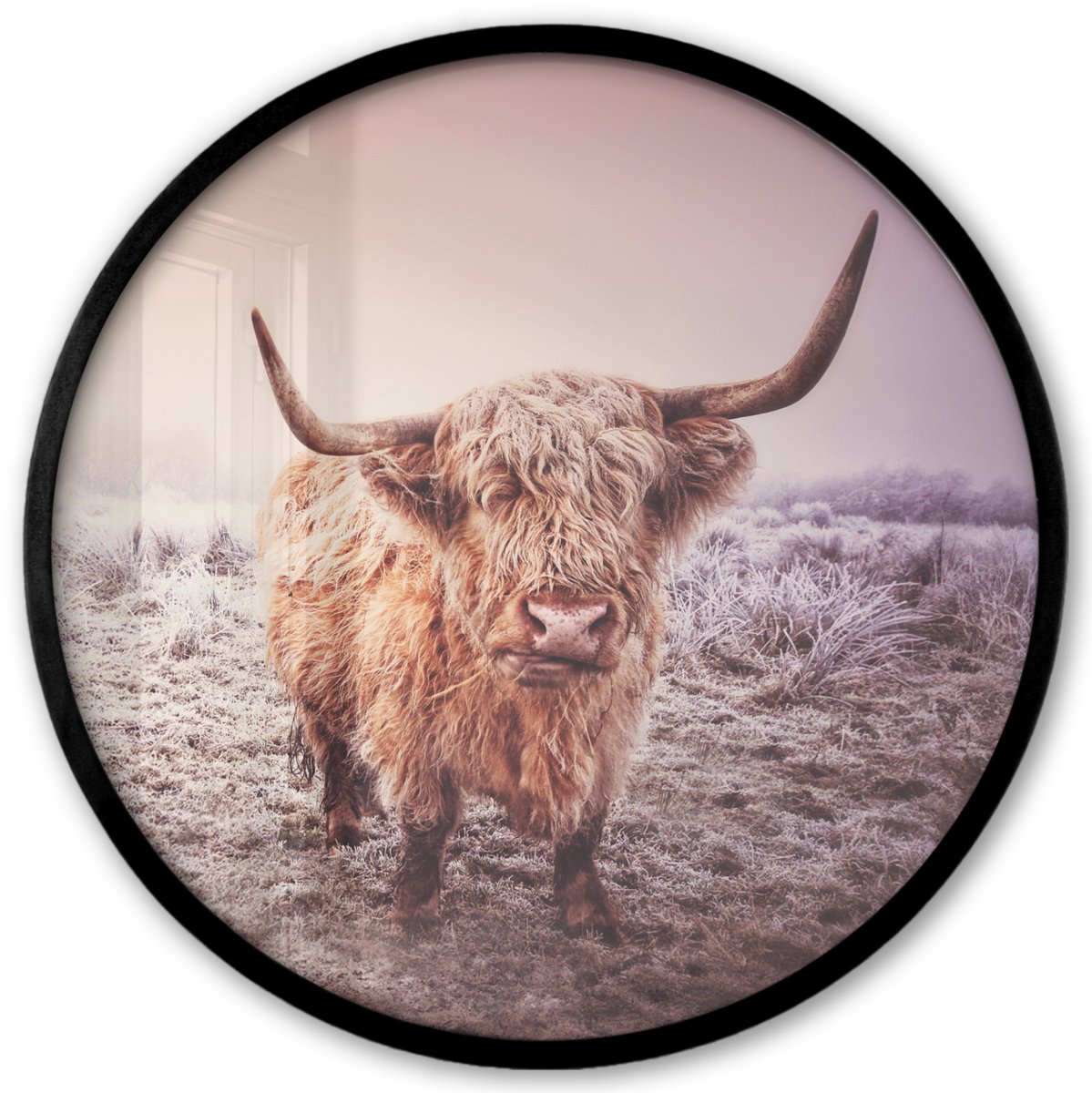 FrameYourWall Poster in lijst Rond - Fotolijst 40x40 cm - Posters - Schotse hooglanders - Licht - Lucht - Natuur - Ronde posterlijst zwart - Decoratie - Wanddecoratie woonkamer - Muurdecoratie slaapkamer Winter - Schotse Hooglander