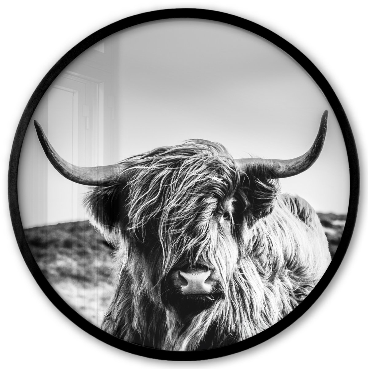 FrameYourWall Poster in lijst Rond - Fotolijst 40x40 cm - Posters - Koe - Schotse hooglander - Zwart - Wit - Dier - Natuur - Wild - Ronde posterlijst zwart - Decoratie - Wanddecoratie woonkamer - Muurdecoratie slaapkamer