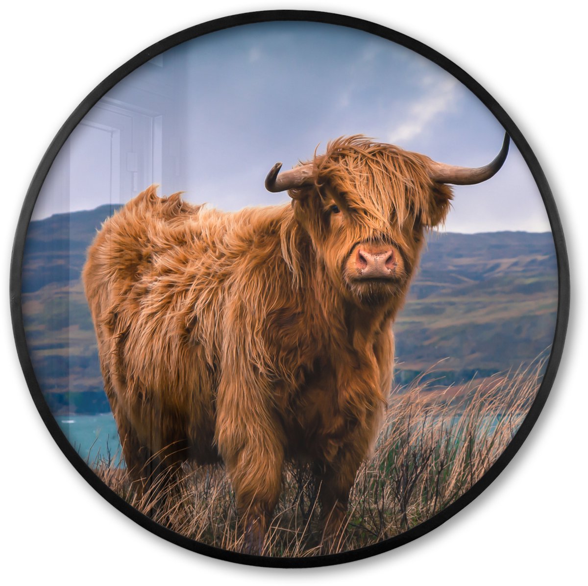 FrameYourWall Poster in lijst Rond - Fotolijst 80x80 cm - Posters - Schotse Hooglander - Berg - Water - Natuur - Koe - Ronde posterlijst zwart - Decoratie - Wanddecoratie woonkamer - Muurdecoratie slaapkamer Schotse Hooglander - Natuur - Uitzicht