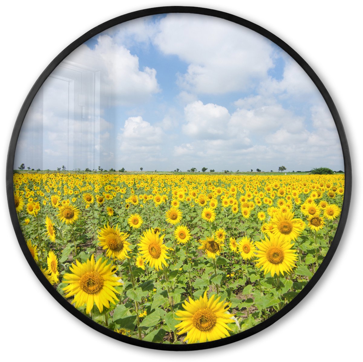 FrameYourWall Poster in lijst Rond - Fotolijst 60x60 cm - Posters - Zonnebloemen - Bloemen - Wolken - Natuur - Geel - Landschap - Ronde posterlijst zwart - Decoratie - Wanddecoratie woonkamer - Muurdecoratie slaapkamer