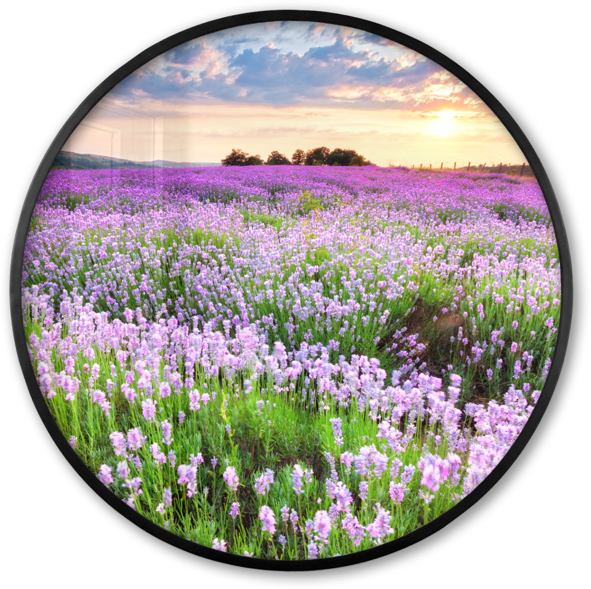 FrameYourWall Poster in lijst Rond - Fotolijst 80x80 cm - Posters - Bloemen - Lavendel - Paars - Lucht - Zonsondergang - Weide - Natuur - Ronde posterlijst zwart - Decoratie - Wanddecoratie woonkamer - Muurdecoratie slaapkamer Bloemen - Lavendel - Veld