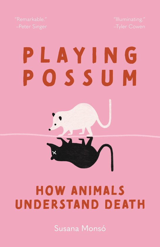 Playing Possum - cover