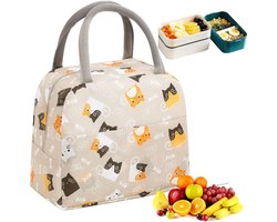 Lichtgewicht lunchtas, 6L picknickkoeler, opvouwbare geïsoleerde tas, picknicktas, mini koeltas, picknicktas voor vrouwen, volwassenen, studenten en kinderen