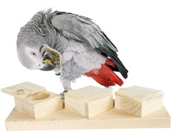 Back Zoo Nature Brain Trainer Cups