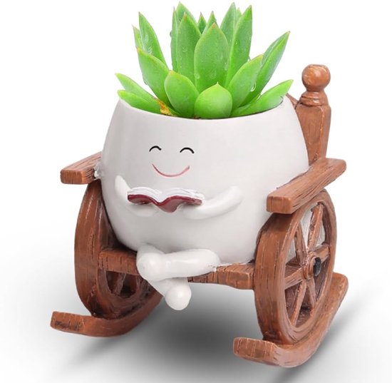 Pot de fleurs à Face - Joli pot de fleurs en résine plastique - Pot de fleurs en forme de fauteuil à bascule pour plantes grasses avec trou de drainage