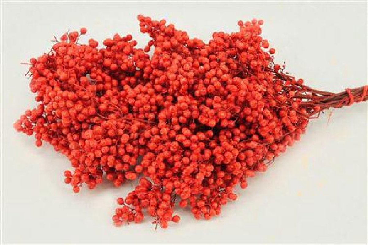 10x Dc pepper berry kerstrood