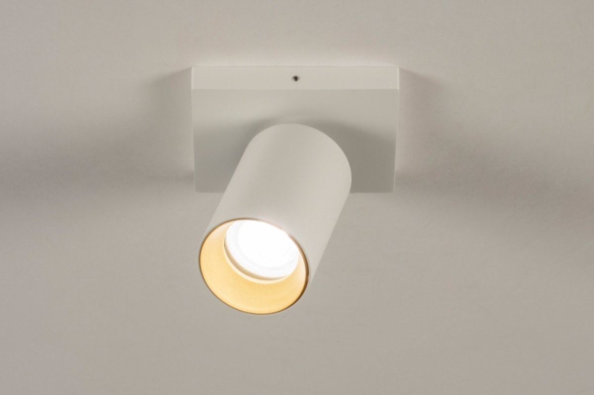 Lumidora Opbouwspot 31249 - DANI - GU10 - Wit - Goud - Metaal - Badkamerlamp - IP21
