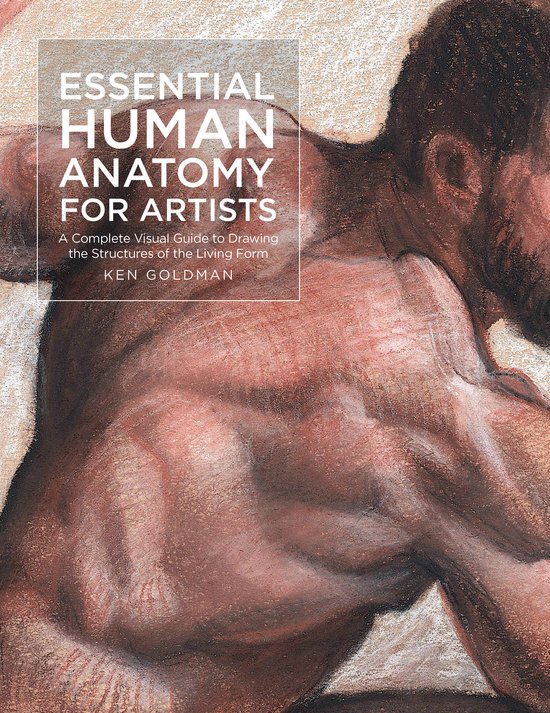 For Artists- Essential Human Anatomy for Artists