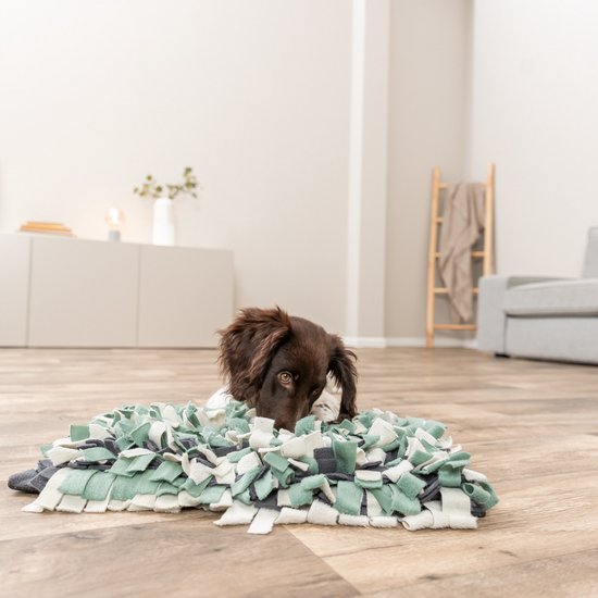 Een bruine puppy snuffelt in een veelkleurige snuffelmat op een houten vloer. De achtergrond is een woonkamer.