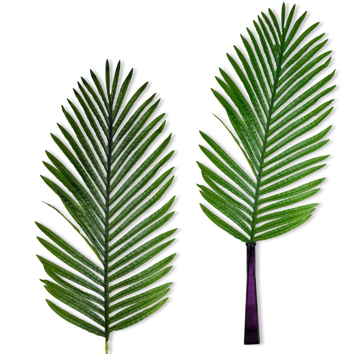 Inspiruj - Palma Daktylowa Blad - 81 cm - Natuurlijk Uiterlijk - Flexibele Stengels