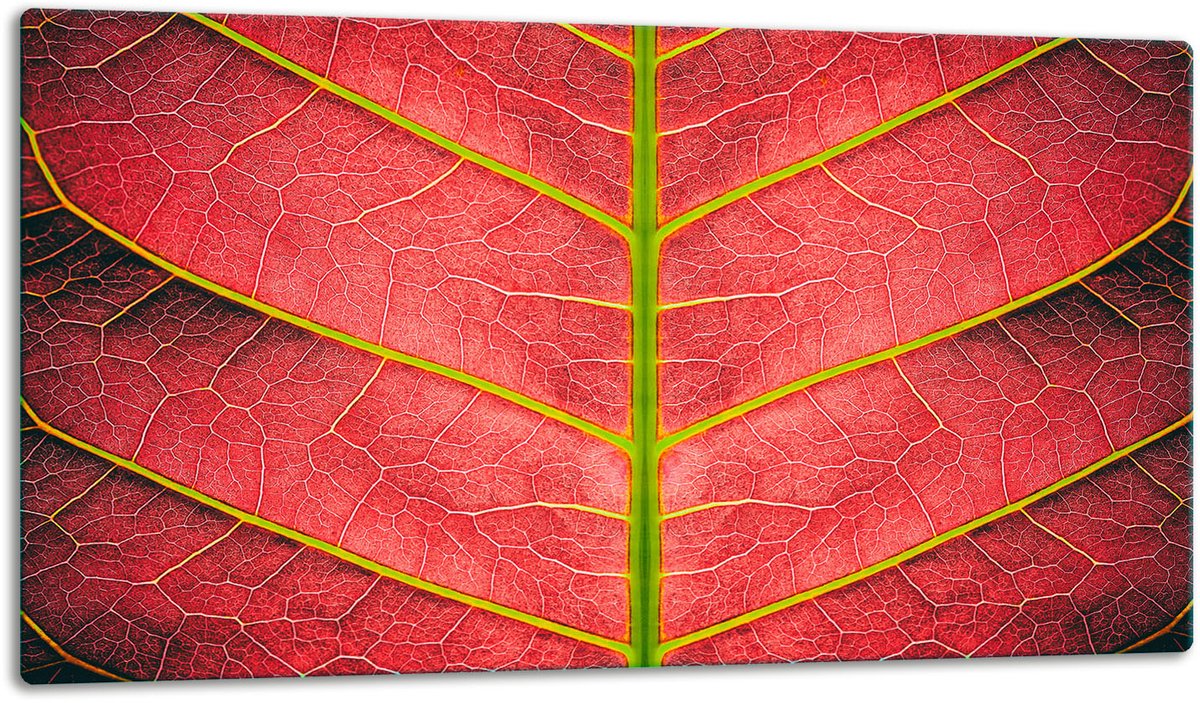 TMK ArtDeko - Snijplank - Glas - 52x30 cm - Kleurvol Design