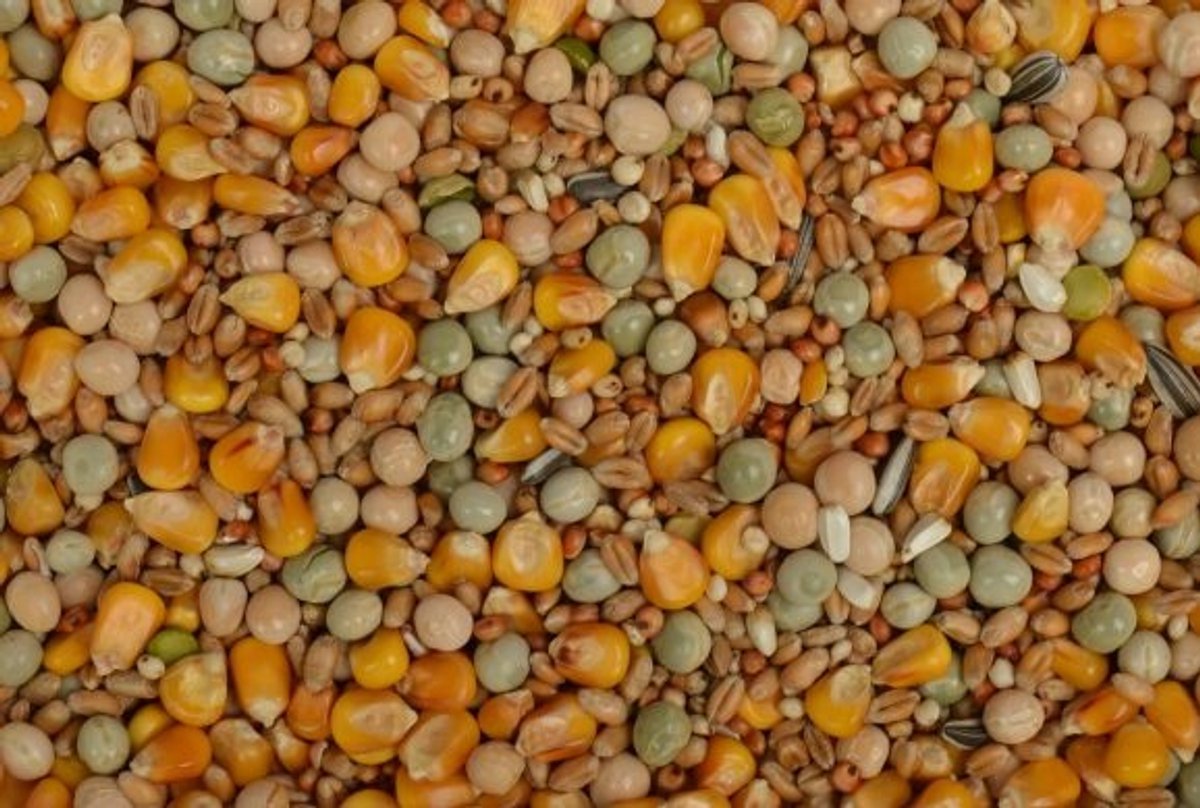Uniestar Excellent Kweek/Vlieg 20 kg