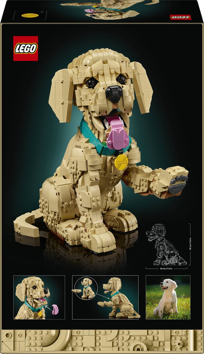 LEGO® Icons Golden Retriever Puppy - Decoratieve Dierenfiguur - Bouwset voor Volwassenen - 11384 — afbeelding 15
