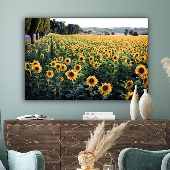 Peintures sur toile - Tournesol - Colline - Printemps - 120x80 cm - Décoration murale