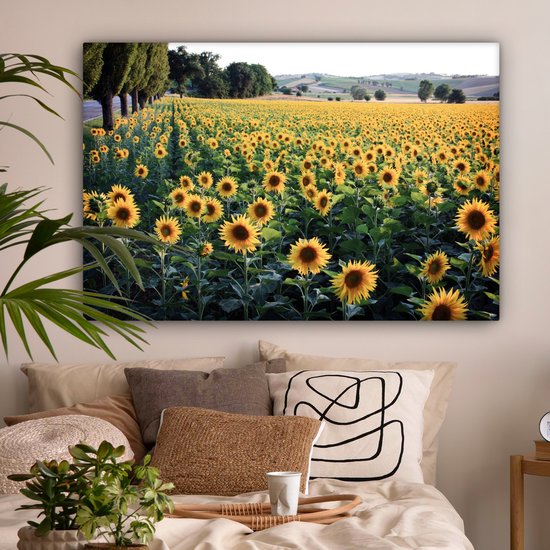 Peintures sur toile - Tournesol - Colline - Printemps - 120x80 cm - Décoration murale