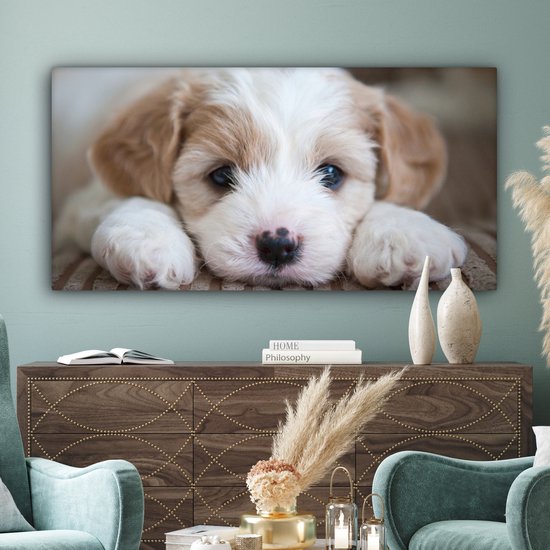 Tableau sur toile Gros plan d'un chiot Cavachon - 160x80 cm - Décoration murale