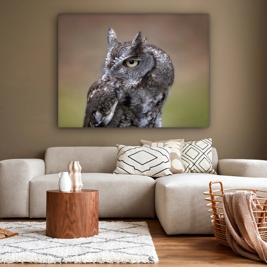 Gros plan d'un petit hibou sur toile 160x120 cm - Tirage photo sur toile (Décoration murale salon / chambre) XXL / Groot format!