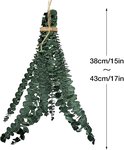 Bundel gedroogde eucalyptus van 38-43 cm lang, opgehangen met touw.
