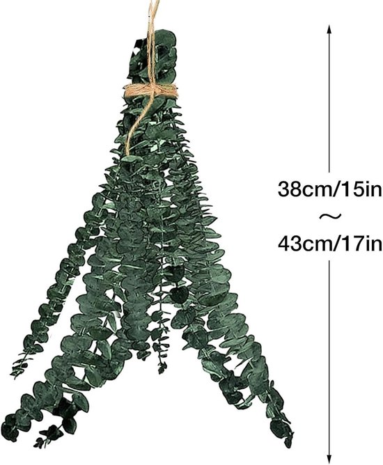 Bundel gedroogde eucalyptus van 38-43 cm lang, opgehangen met touw.