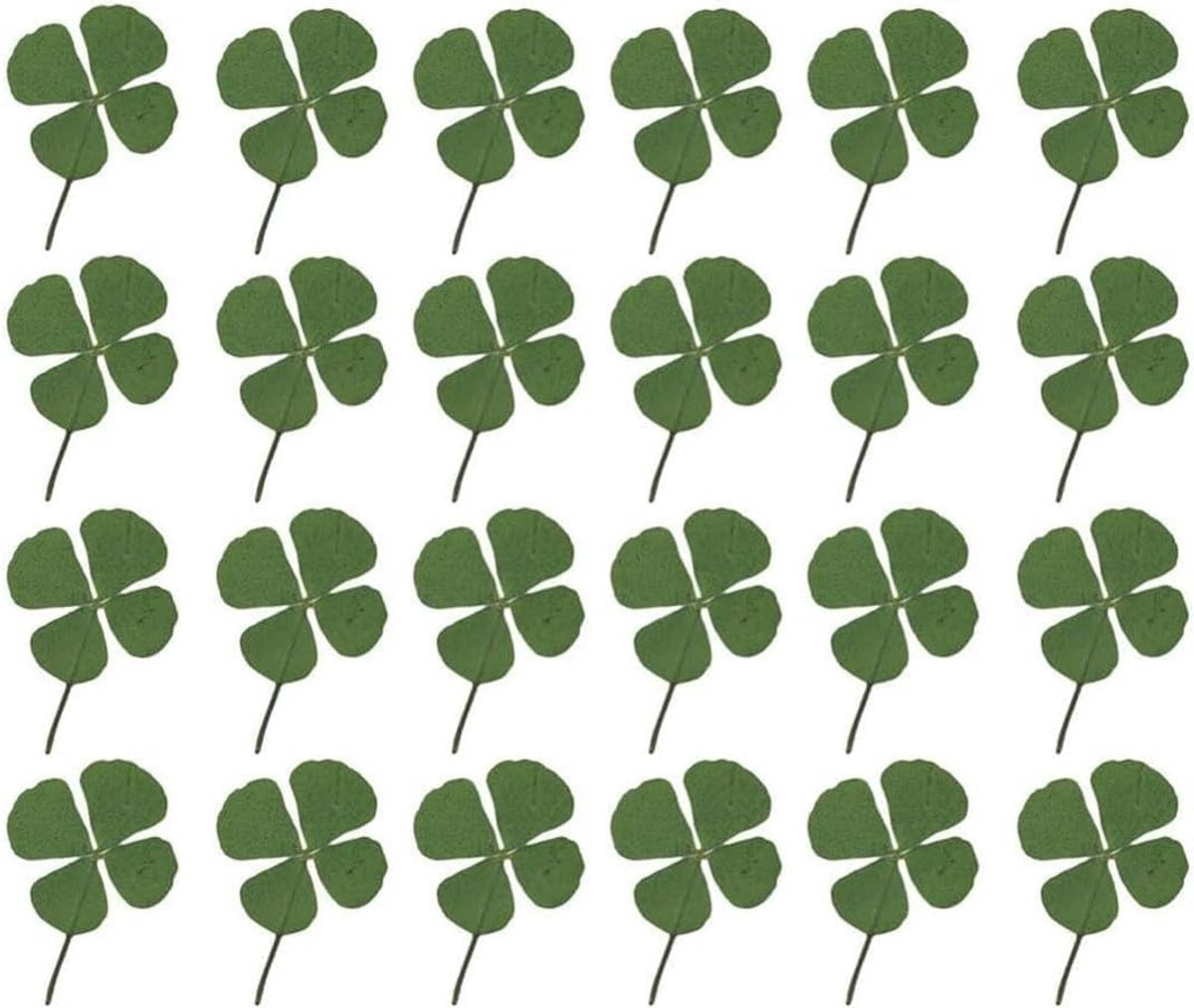 Natuurlijke Gedroogde Bloemen - 24 Stuks Geperste Klaverbladeren voor Creatieve Projecten, Sieraden en Harsbewerking