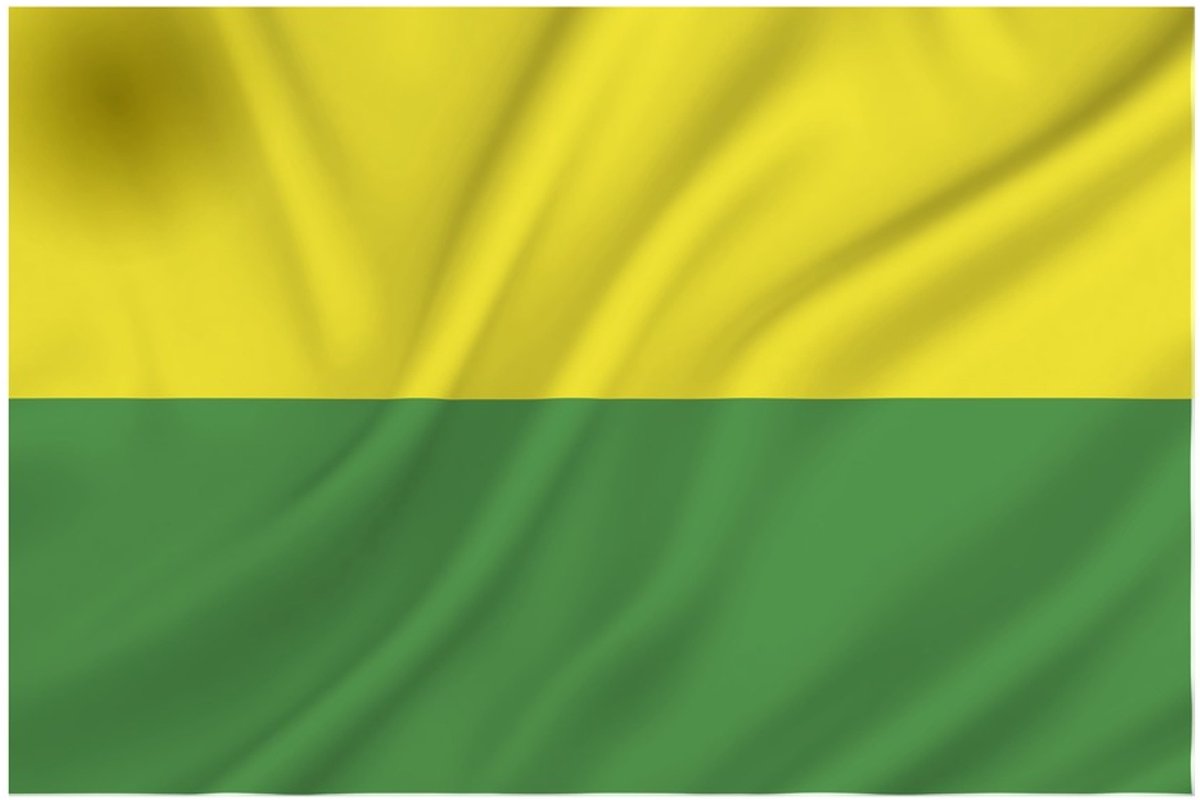 Vlag Den Haag