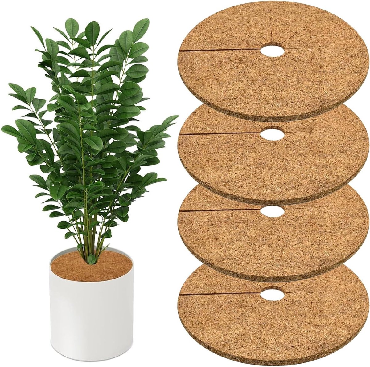 Set van 4 Kokosvezel Schijven voor Planten - Winterbescherming, Vorstbescherming en Natuurlijke Plantbescherming Matten voor Potplanten