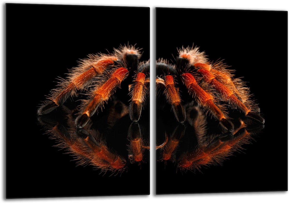 TMK ArtDeko - Glas Beschermplaat - 40x52 - Spinontwerp - Gehard Glas