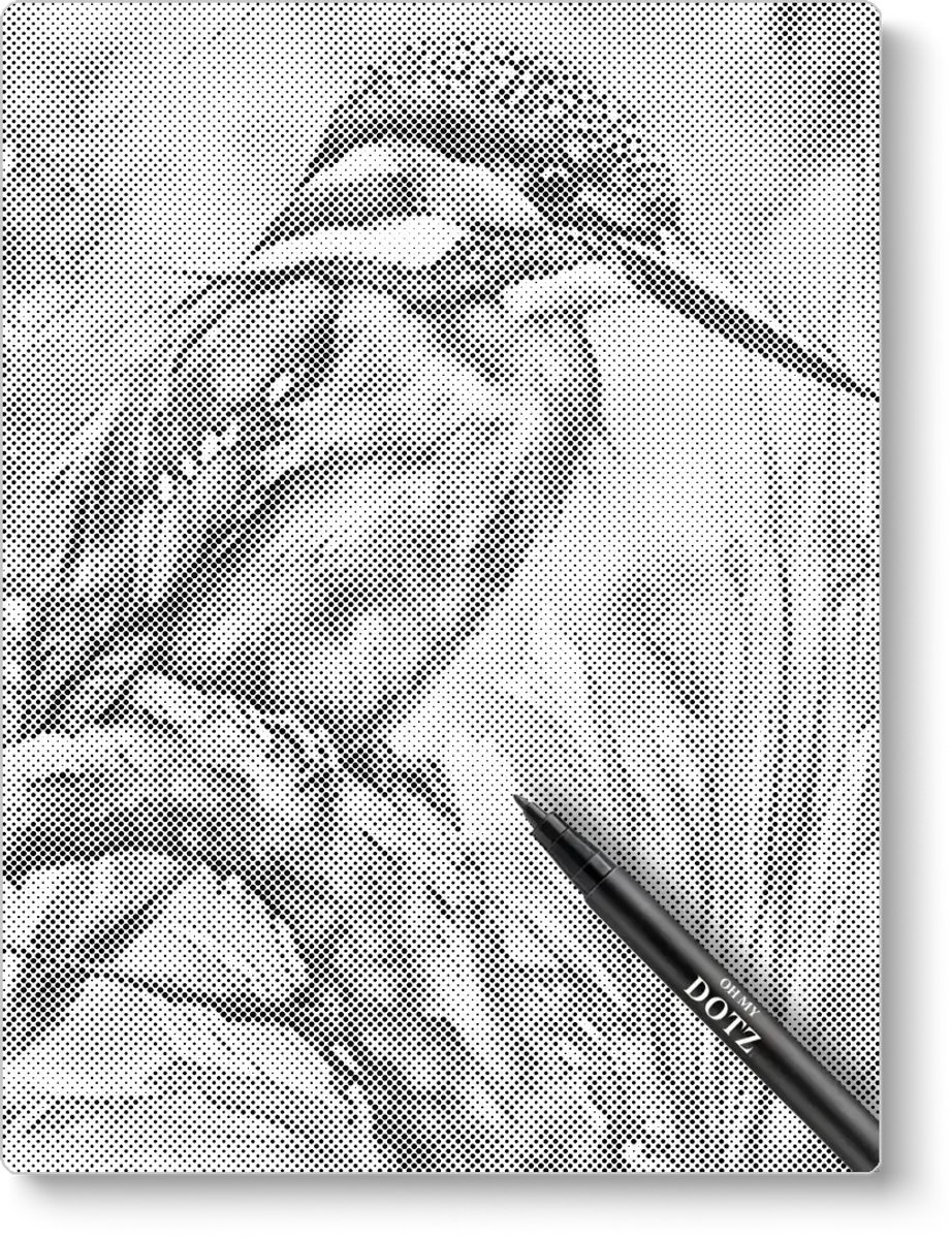 IJsvogel Close-up | Dot painting | 50x60cm Meest gekozen | Dot painting | Oh My Dotz | Dots stippen | Diamond painting & Schilderen op nummer alternatief | Happy hobby