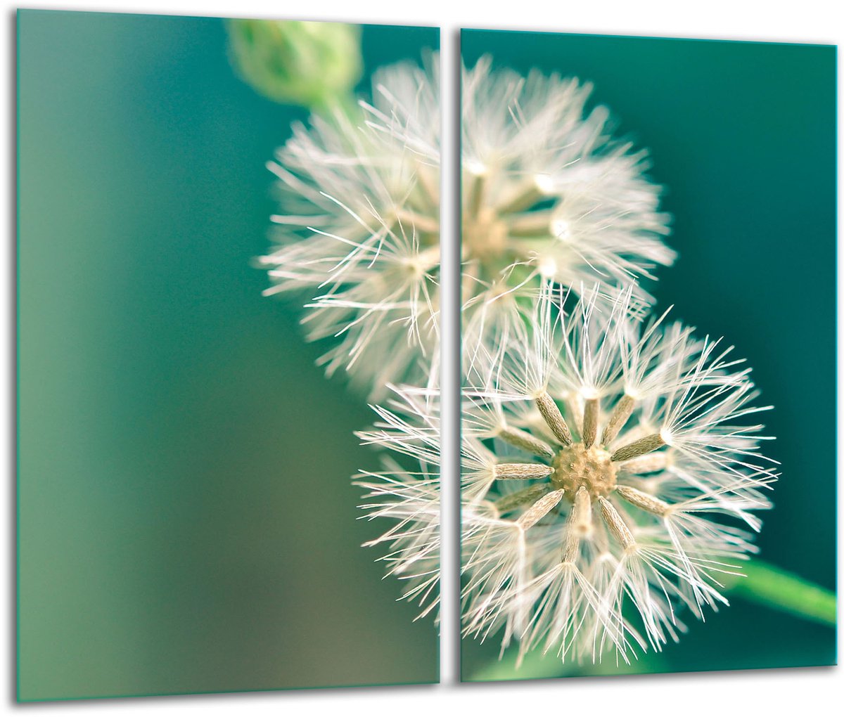 TMK ArtDeko - Snijplank - Glas - 2x30x52 - Bloemenmotief