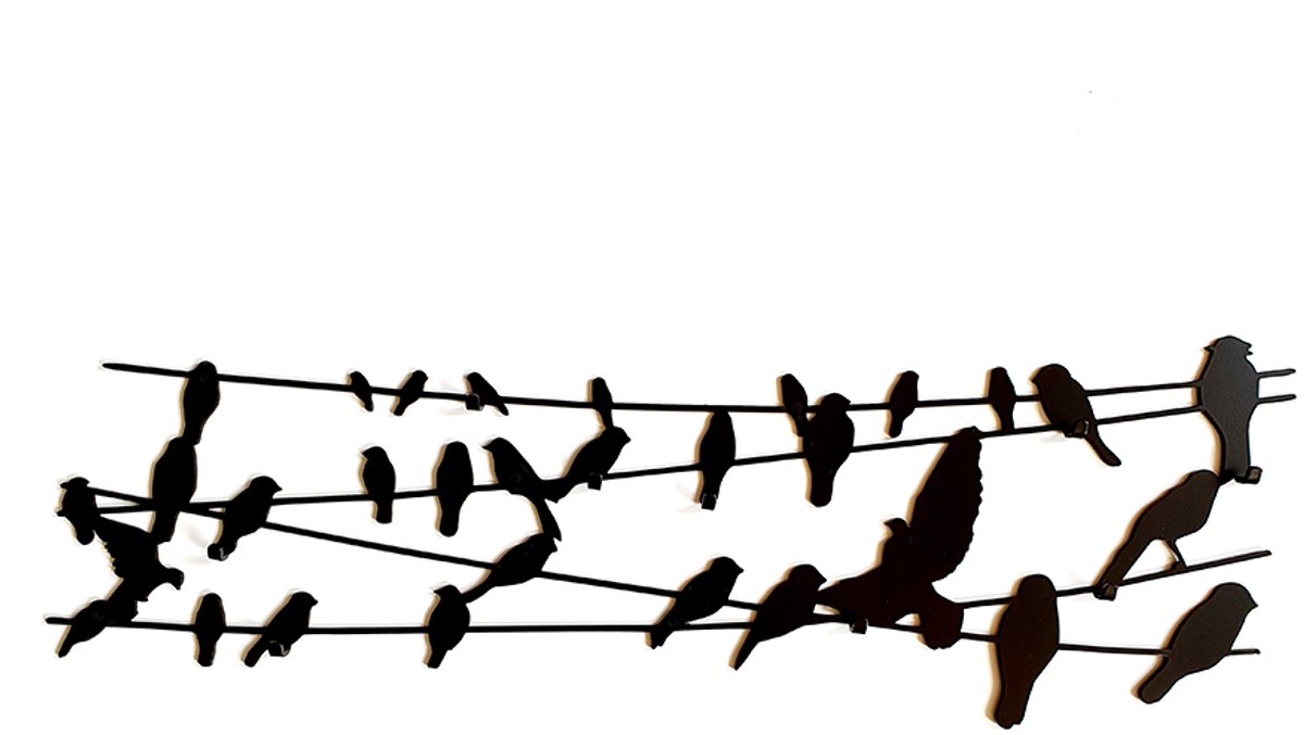 Decorizzly Bird on Wire - Wandkapstok - 820mm - 9 Haken - Staal