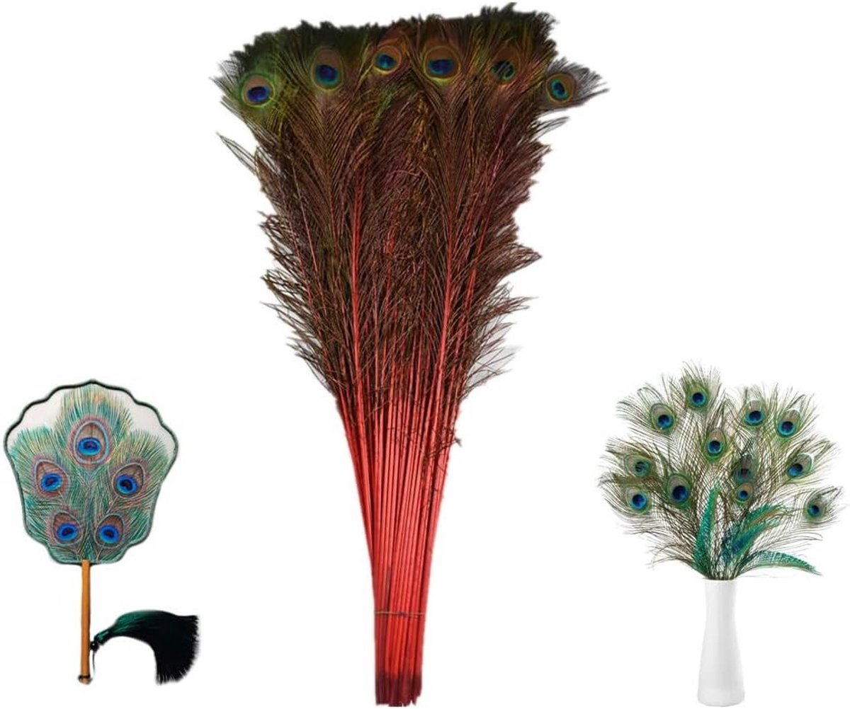 Set van 5 Natuurlijke Pauwenveren Lang 80-90 cm Echte Pauwenstaartveren Kleurrijke Creatieve Decoratie voor Vazen en DIY Projecten