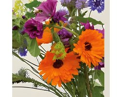 Bloemen Voor Bijen Zaden Biologisch Eenjarig Bloemenmengsel Nectarplanten
