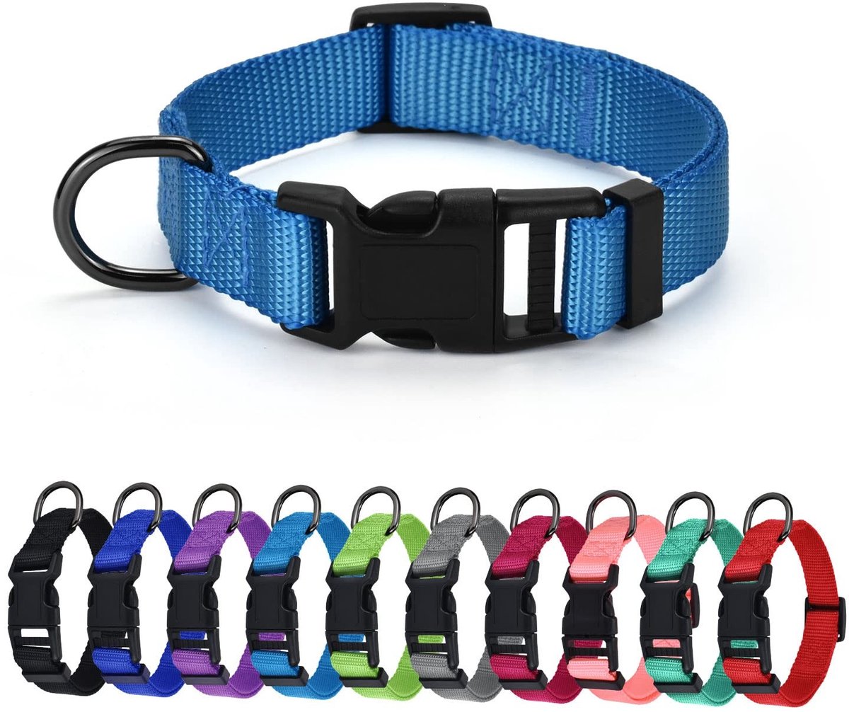 Cosensi - Hondenhalsband - Dikke Nylon Hondenhalsband - Verstelbaar - Long beach blue - Duurzaam - Geschikt voor kleine, middelgrote en grote honden
