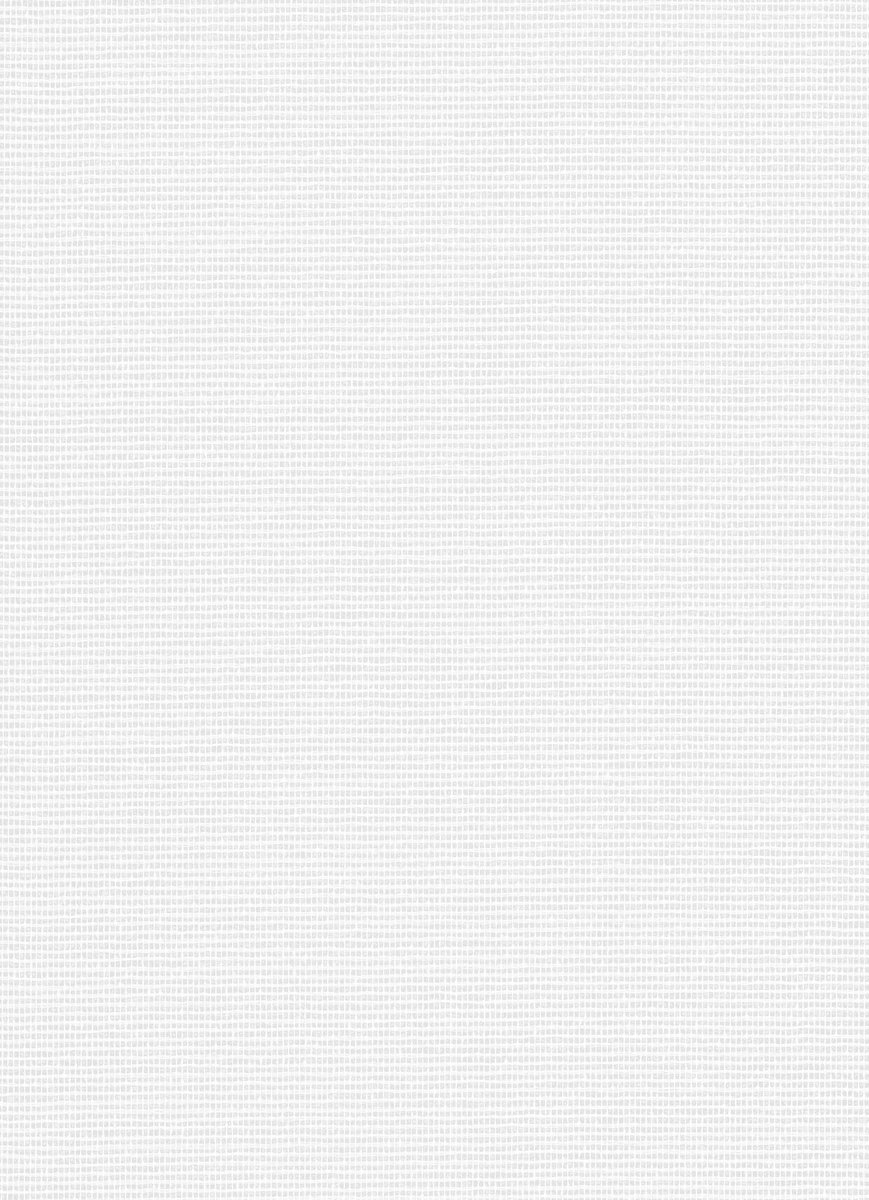 Erismann Vliesbehang 335501 - RollOver27 - Overschilderbaar Wit - 100cm x 25,00m