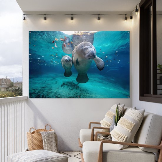 Décoration murale Lamantin antillais avec bébé - 180x120 cm - Poster jardin - Toile jardin - Poster extérieur