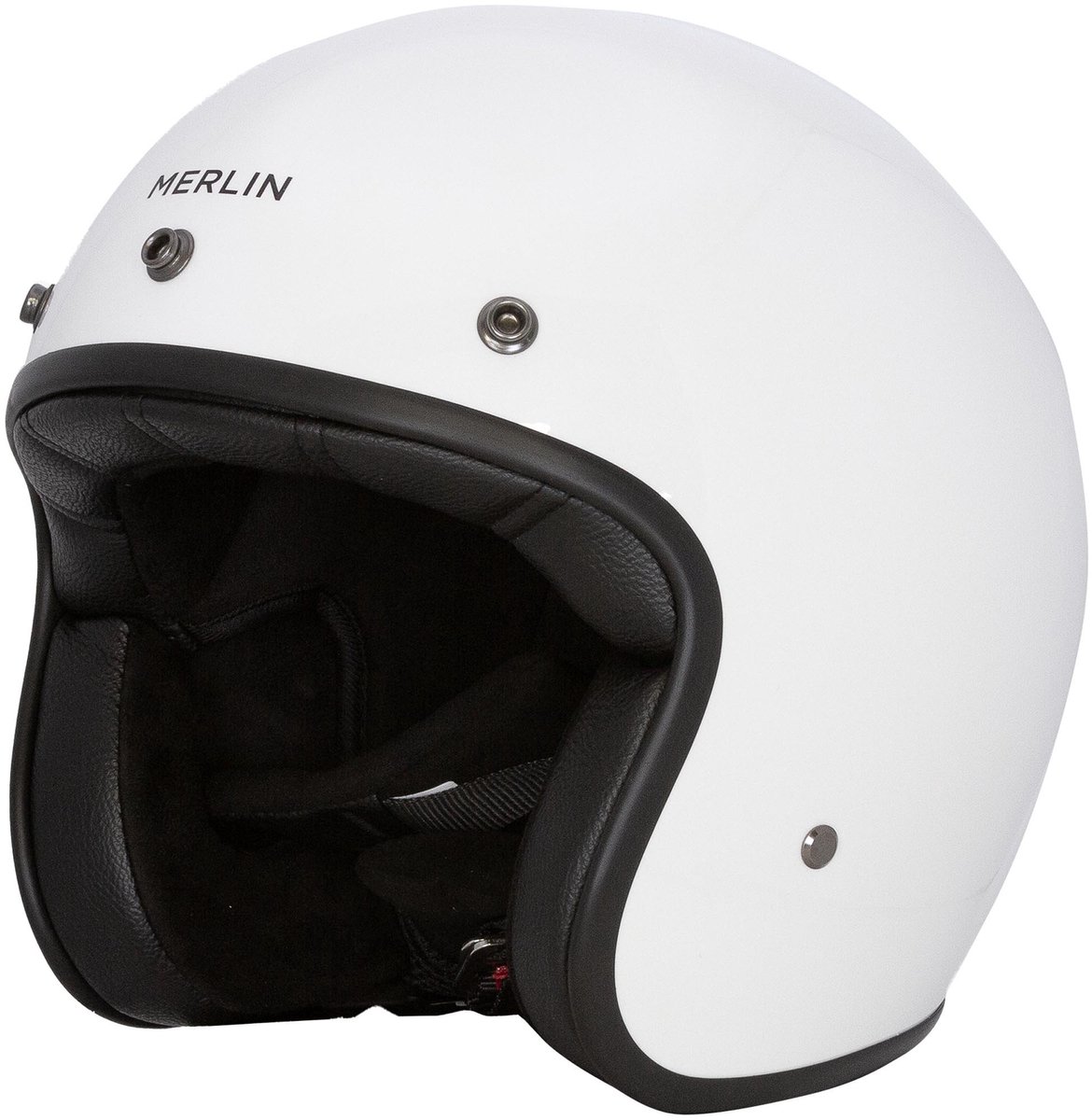 Merlin Blackbird Gloss Jethelm -