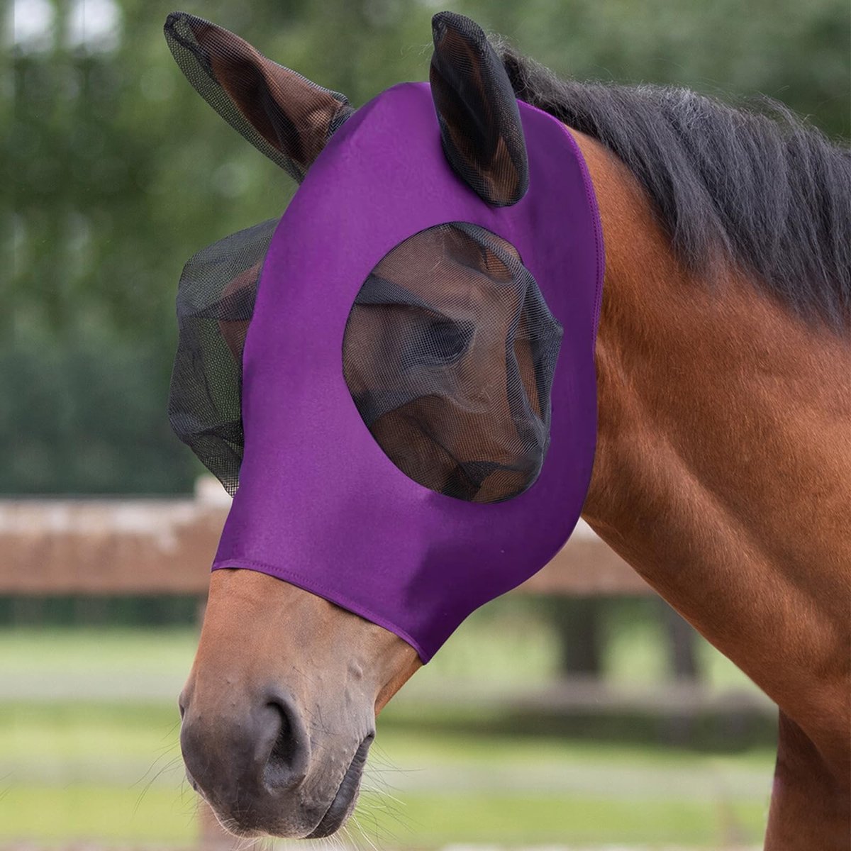 Dailygoods - Dailygoody - Elasticiteit paardenvliegmasker - Vliegenbescherming - Gehoorbescherming - Paars - Anti-UV - Bescherming tegen muggenbeten - Geschikt voo