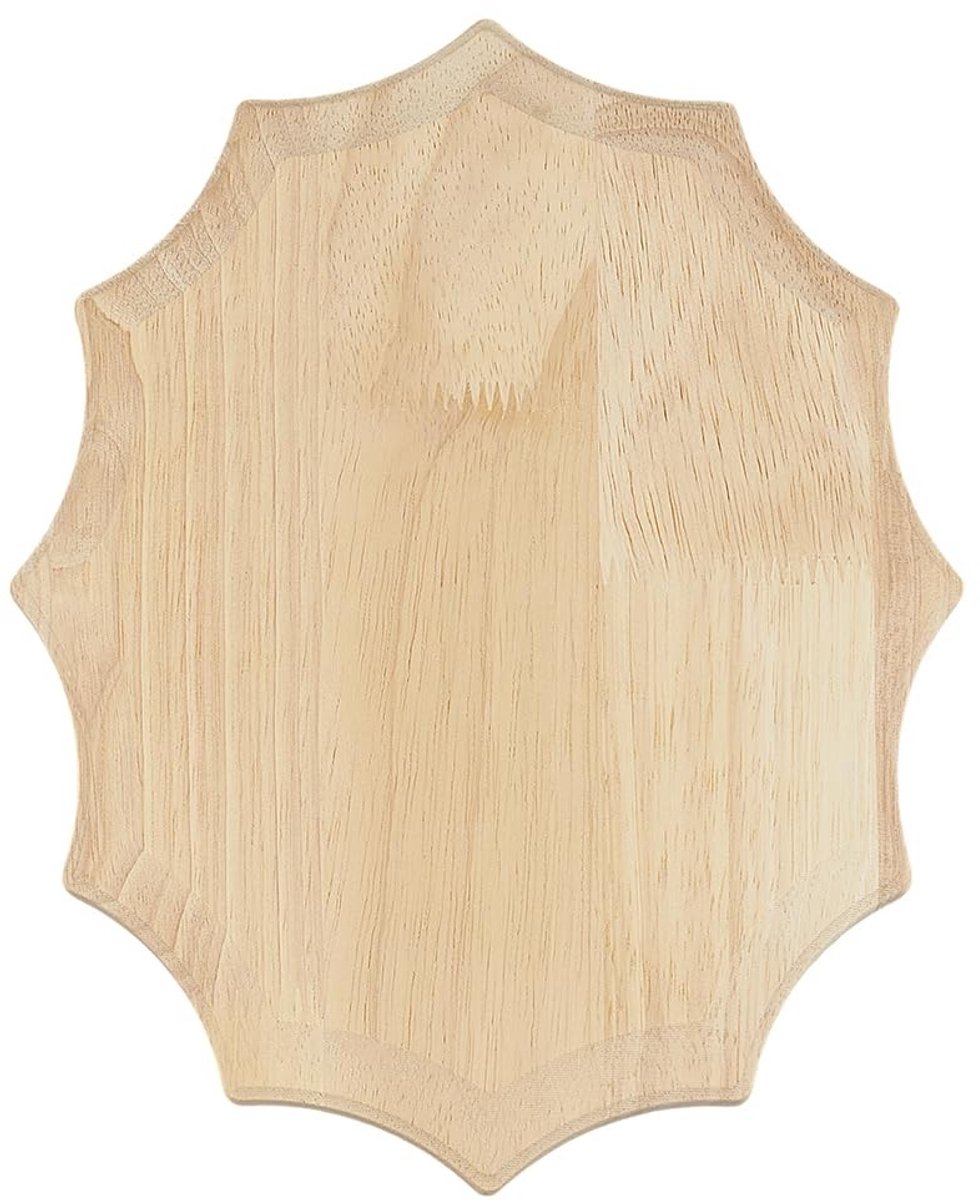Dailygoods - Dailygoody - Onvoltooide Houten Plaque - Schilderen en Ambacht - Creatieve Basis - Ovaal 25x19.8cm - DIY Kunstaccessoires - Inspiratie voor Ieder