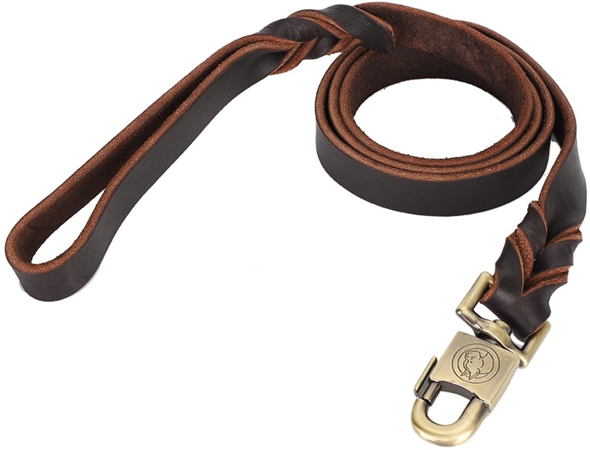 Dailygoods - Zachte Lederen Hondenkraag met Riem 150cm