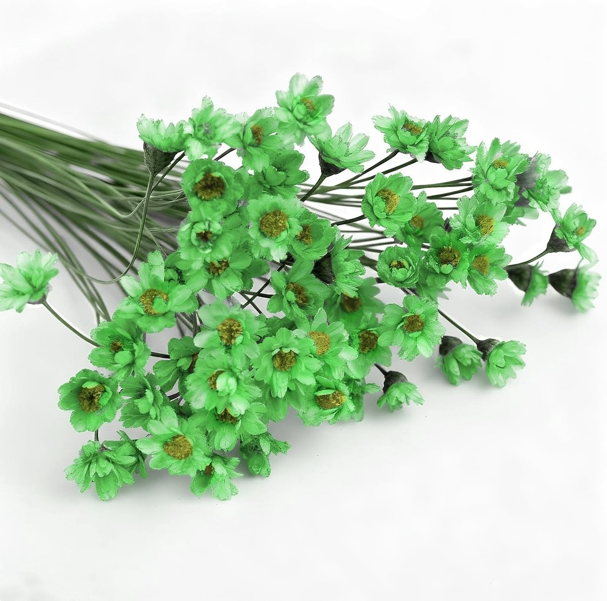 100 Groene Sterrenbloemen Takken voor DIY Kunst, Hars, Scrapbooking en Sieraden Maken, Bloemdecoraties