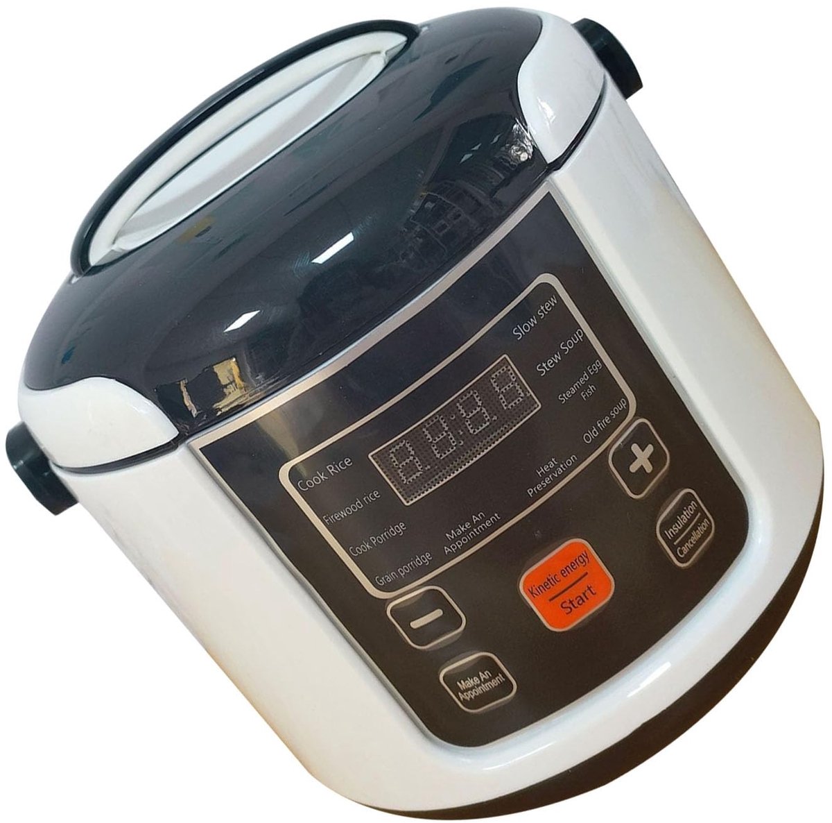 Dailygoods - Dailygoody - Compacte Elektrische Rijstkoker - Mini-Formaat - Warmhoudfunctie - 2L - Voor Thuis en Reizen - Ideaal voor Rijst en Meer