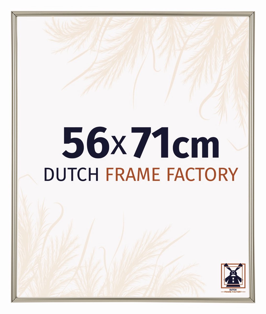 Dutch Frame Factory Fotolijst 56x71 cm - Kunststof - Champagne - Angers