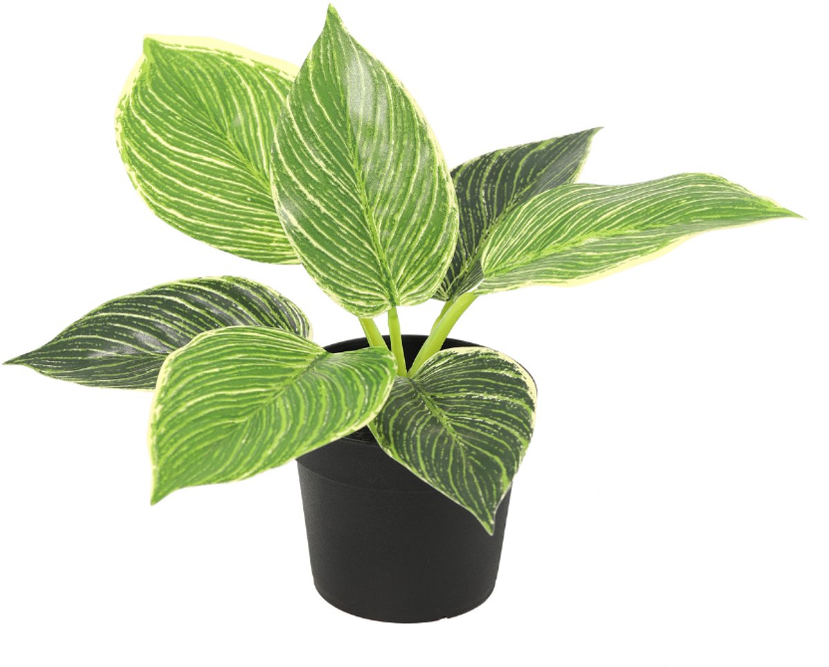 Trendyplants - Kunst Philodendron Birkin - Philodendron - Kunstplant - Hoogte 20cm - Potmaat Ø9cm