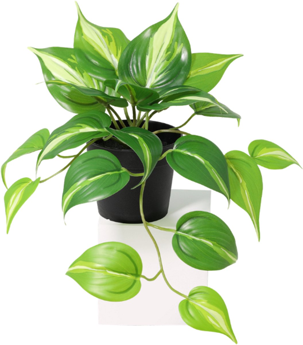 Trendyplants - Kunst Epipremnum Variegata - Drakenklimop - Kunstplant - Hoogte 23cm - Potmaat Ø9cm