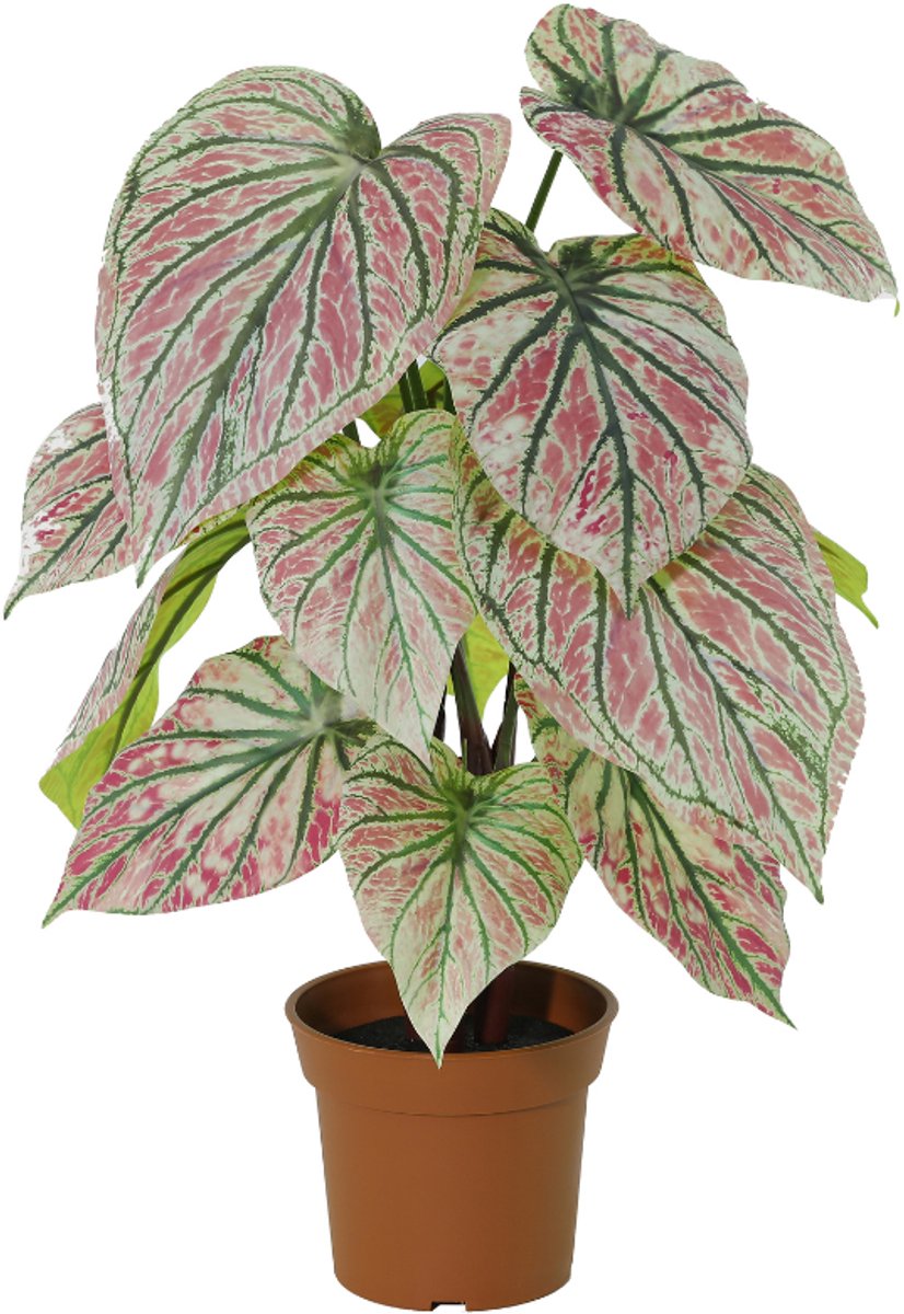 Trendyplants - Kunst Caladium Green / Pink - Olifantsoor - Kunstplant - Hoogte 57cm - Potmaat Ø15cm
