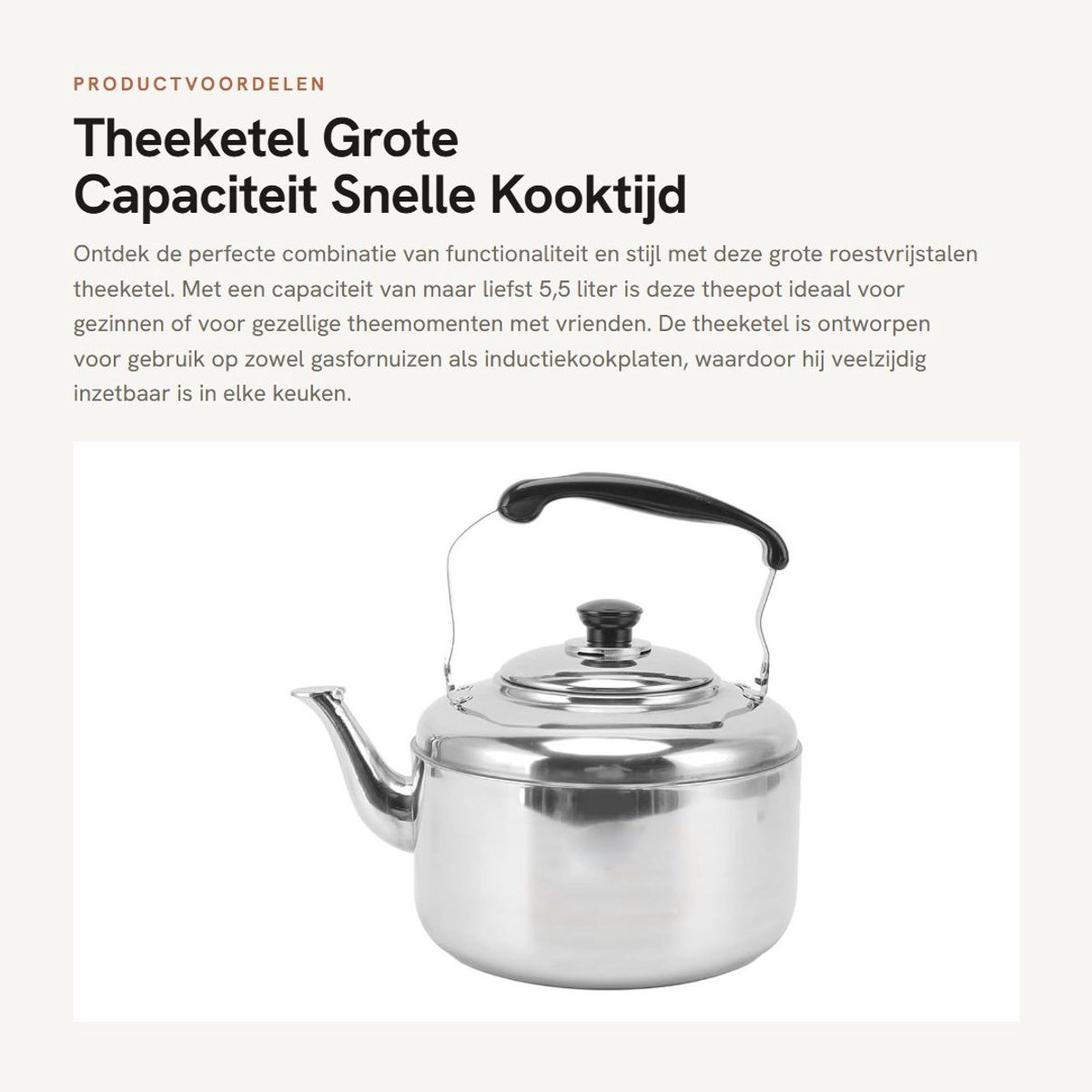Dailygoods- Theeketel 5,5L Grote Capaciteit - Roestvrij Staal - Fluitketel - Ergonomische Handgreep - Voor Gasfornuis/Inductiekookplaat - Zilver - Waterkoker