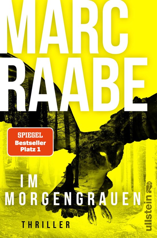 Art Mayer-Serie 4 - Im Morgengrauen - cover